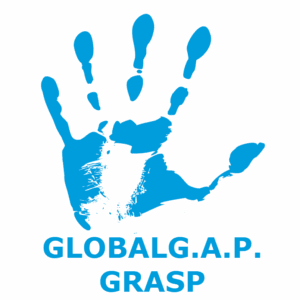 Global-gap-grasp-square